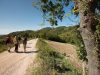 via-di-francesco-verso-assisi