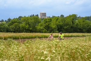 bici-collio.slovenia-go-25