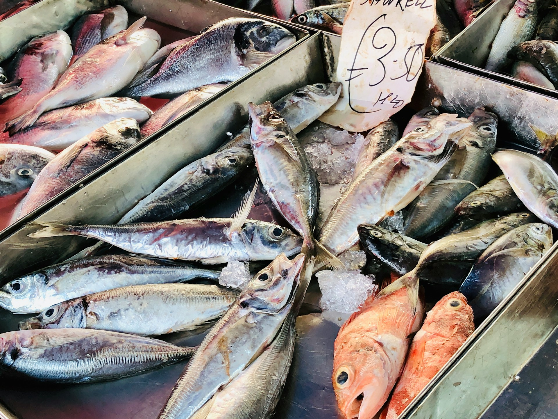 mercurio nel pesce che mangiamo