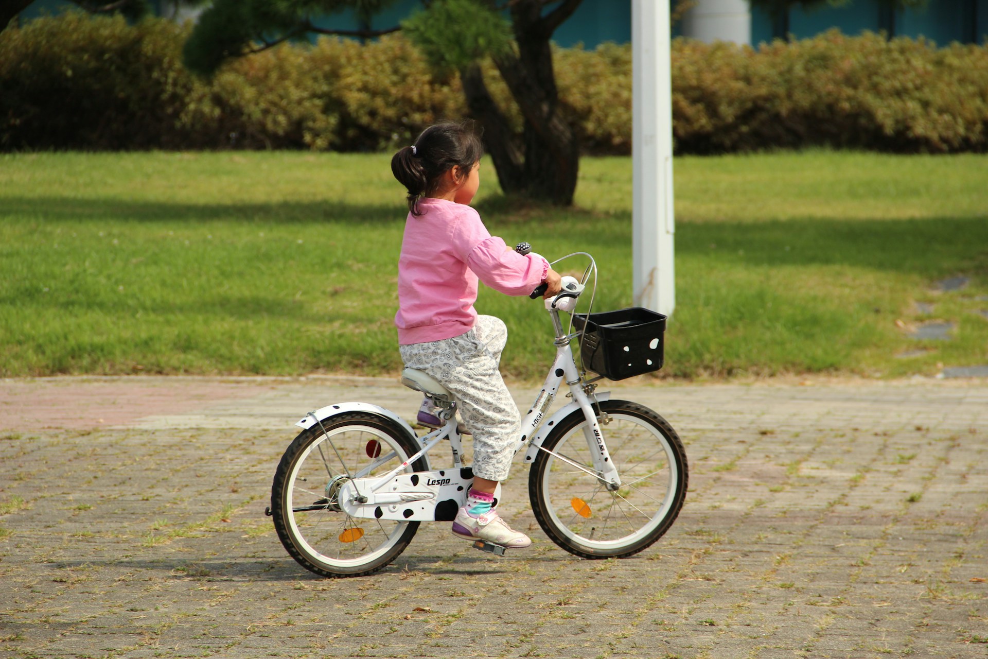 prima bicicletta da bambino