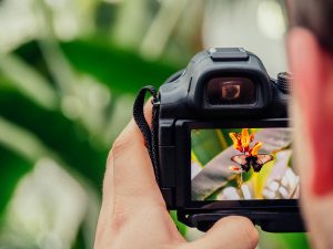 No, non ti serve una fotocamera "Pro" per fare belle foto