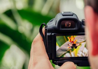 No, non ti serve una fotocamera "Pro" per fare belle foto