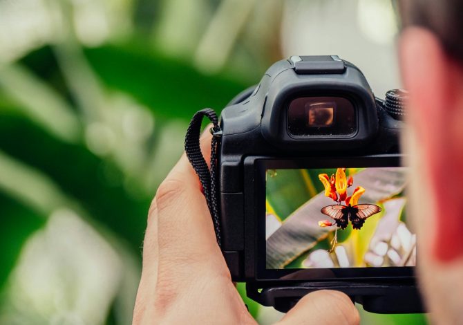 No, non ti serve una fotocamera "Pro" per fare belle foto