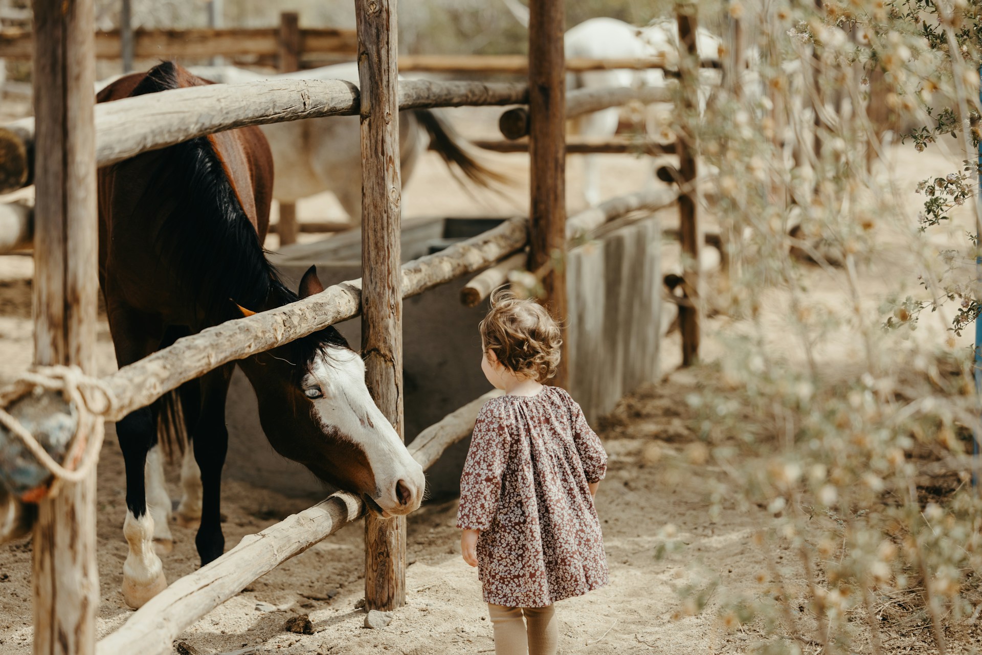 attività all'aria aperta per famiglie in Lombardia