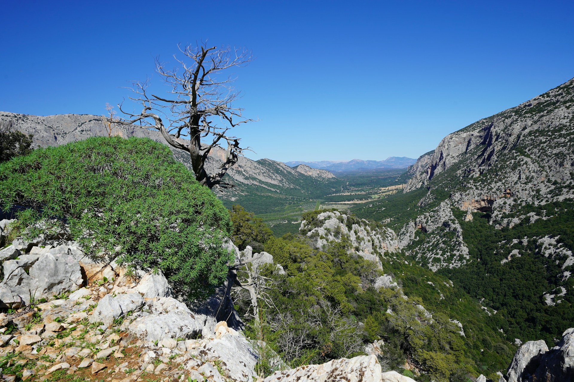 escursioni primaverili in Sardegna