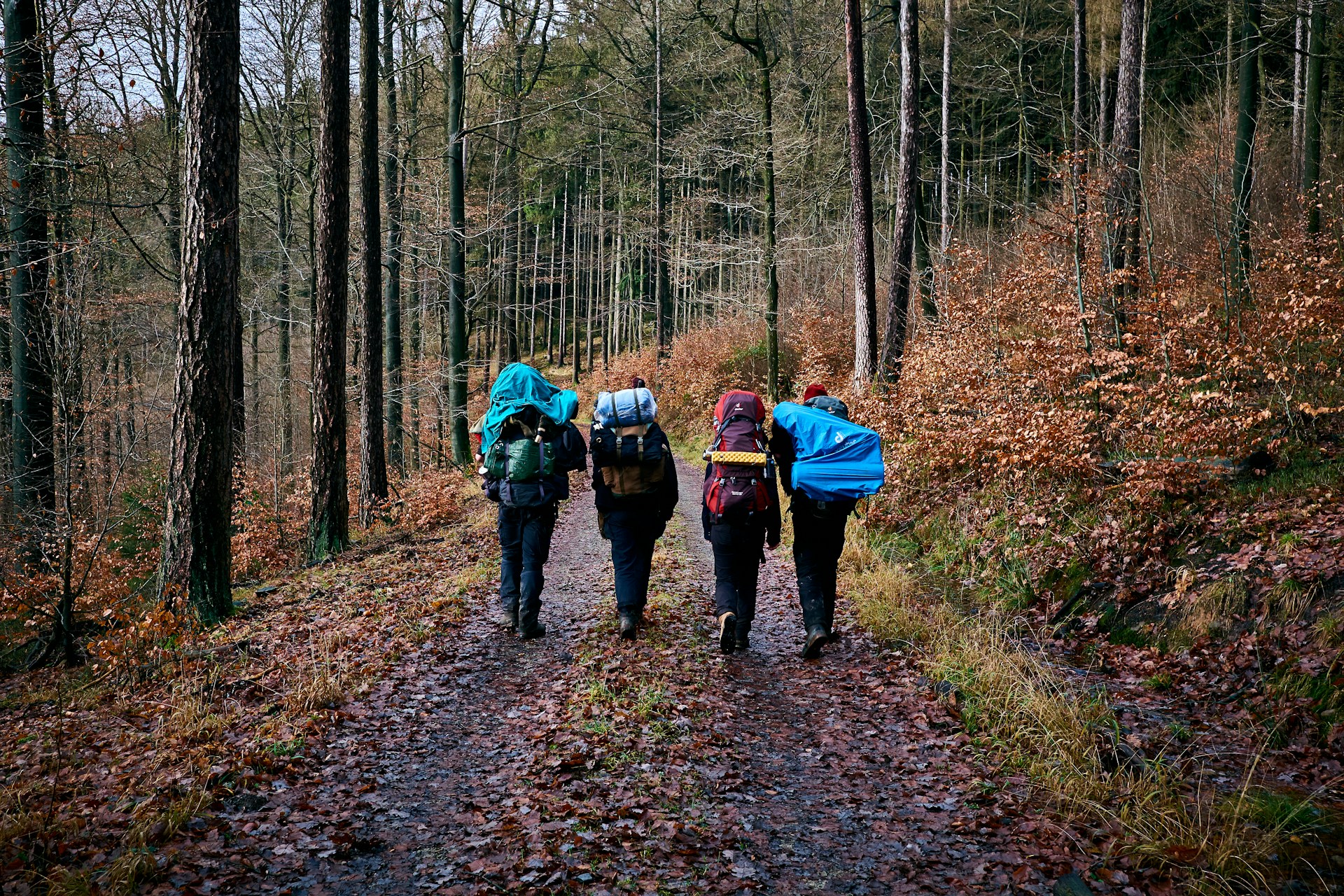 nuovo zaino da trekking