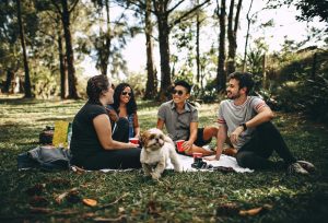 picnic-aria-aperta