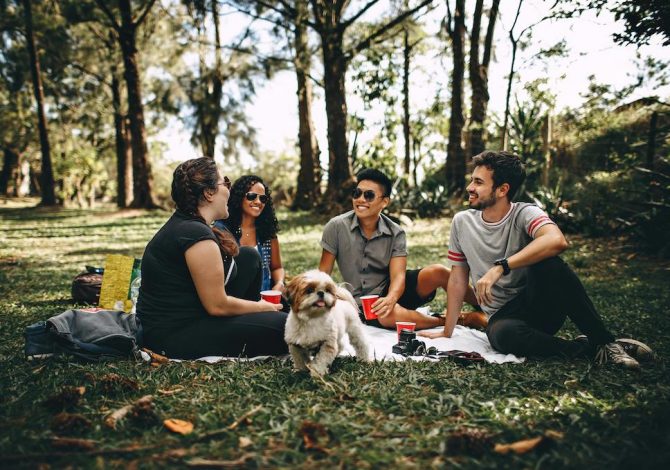 picnic-aria-aperta