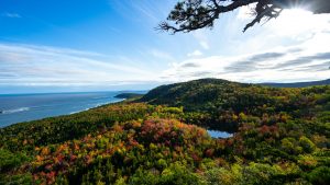 New England