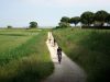 02-strade-bianche-sotto-al-livello-del-mare