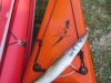 barracuda