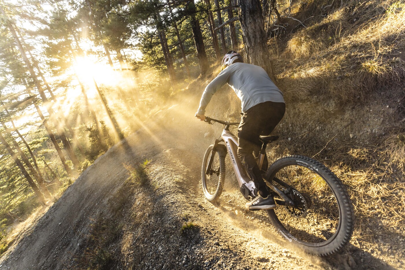 HAIBIKE AllMtn CF TRN/IQ