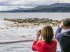 foche-a-kenmare-bay-nella-contea-di-kerry