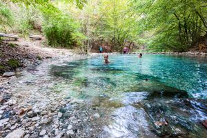 Carinzia