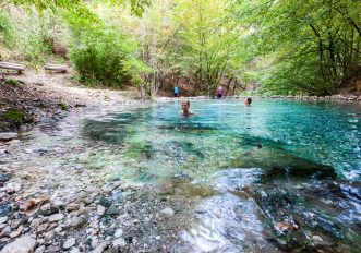 Carinzia