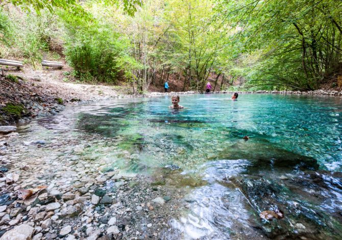 Carinzia