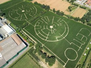 Labirinto di Alfonsine