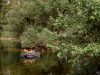 laghi-nabi-pedalo