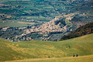 assisi-estate