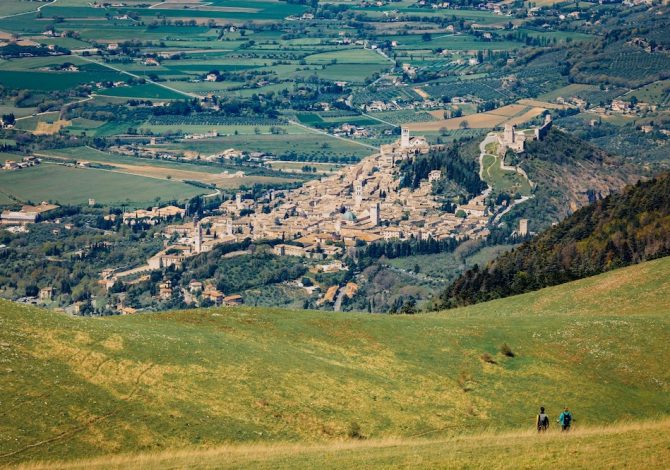 assisi-estate