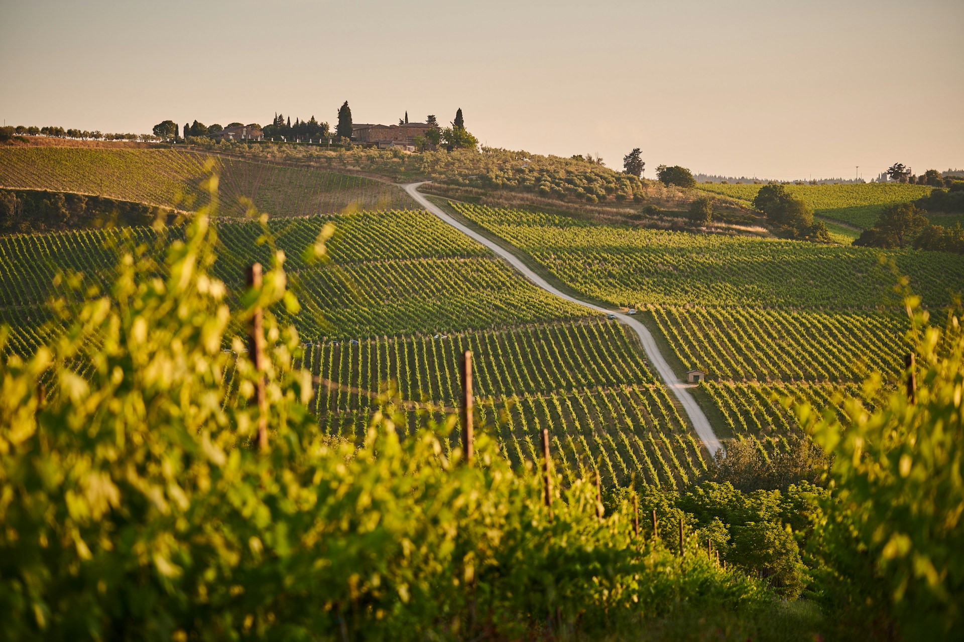chianti 