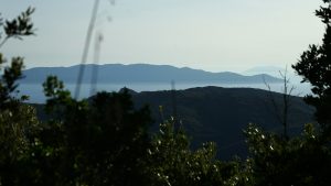Queste isole in Italia hanno spiagge che sembrano un paradiso dei caraibi