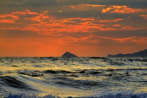 LEGGI ANCHE Toscana nascosta: dove trovare silenzio, natura e fresco questa estate Tra queste pinete e il mare selvaggio si trovano alcune delle bellissime spiagge della Toscana da scoprire Sono questi gli itinerari in bici da fare in Toscana tra mare, arte e natura