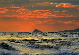 LEGGI ANCHE Toscana nascosta: dove trovare silenzio, natura e fresco questa estate Tra queste pinete e il mare selvaggio si trovano alcune delle bellissime spiagge della Toscana da scoprire Sono questi gli itinerari in bici da fare in Toscana tra mare, arte e natura