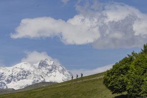 Cammino di Ermenegildo