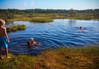 estate in Estonia