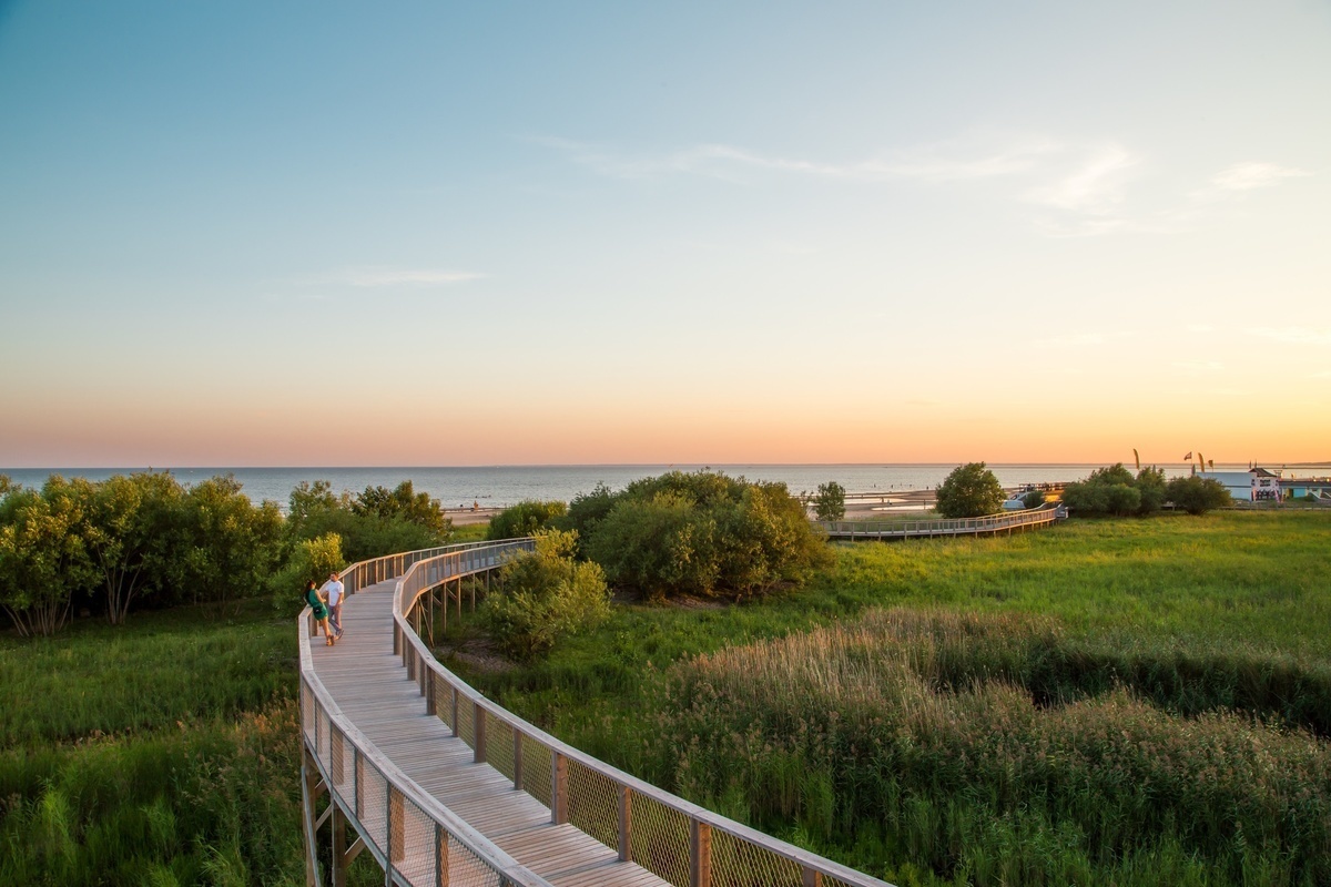 estate in Estonia