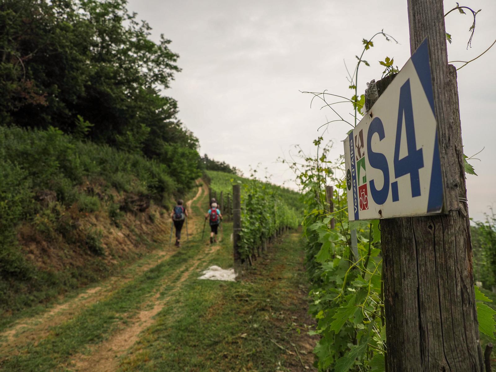 7 escursioni in montagna per scappare da Torino