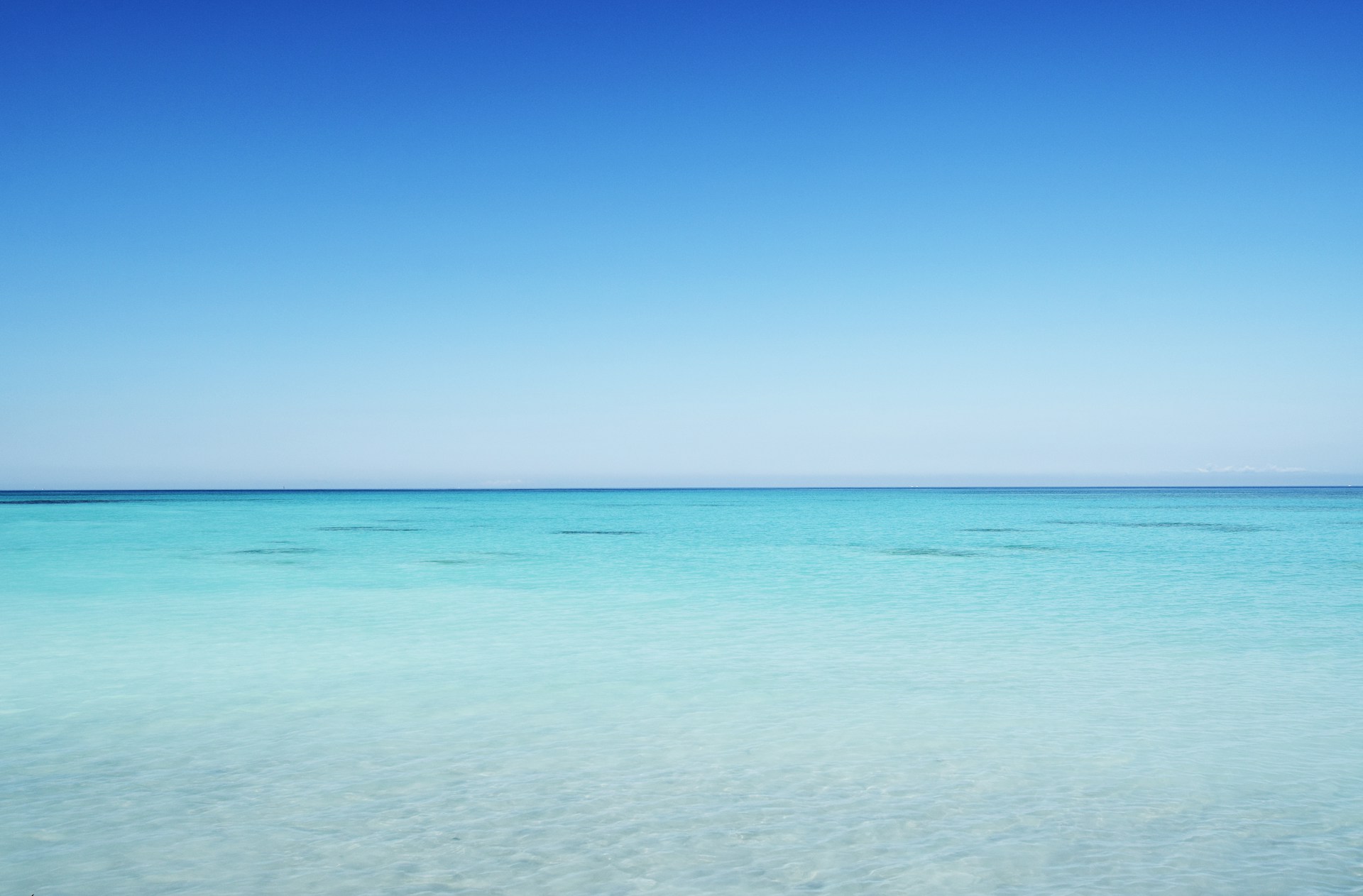 spiagge Toscana
