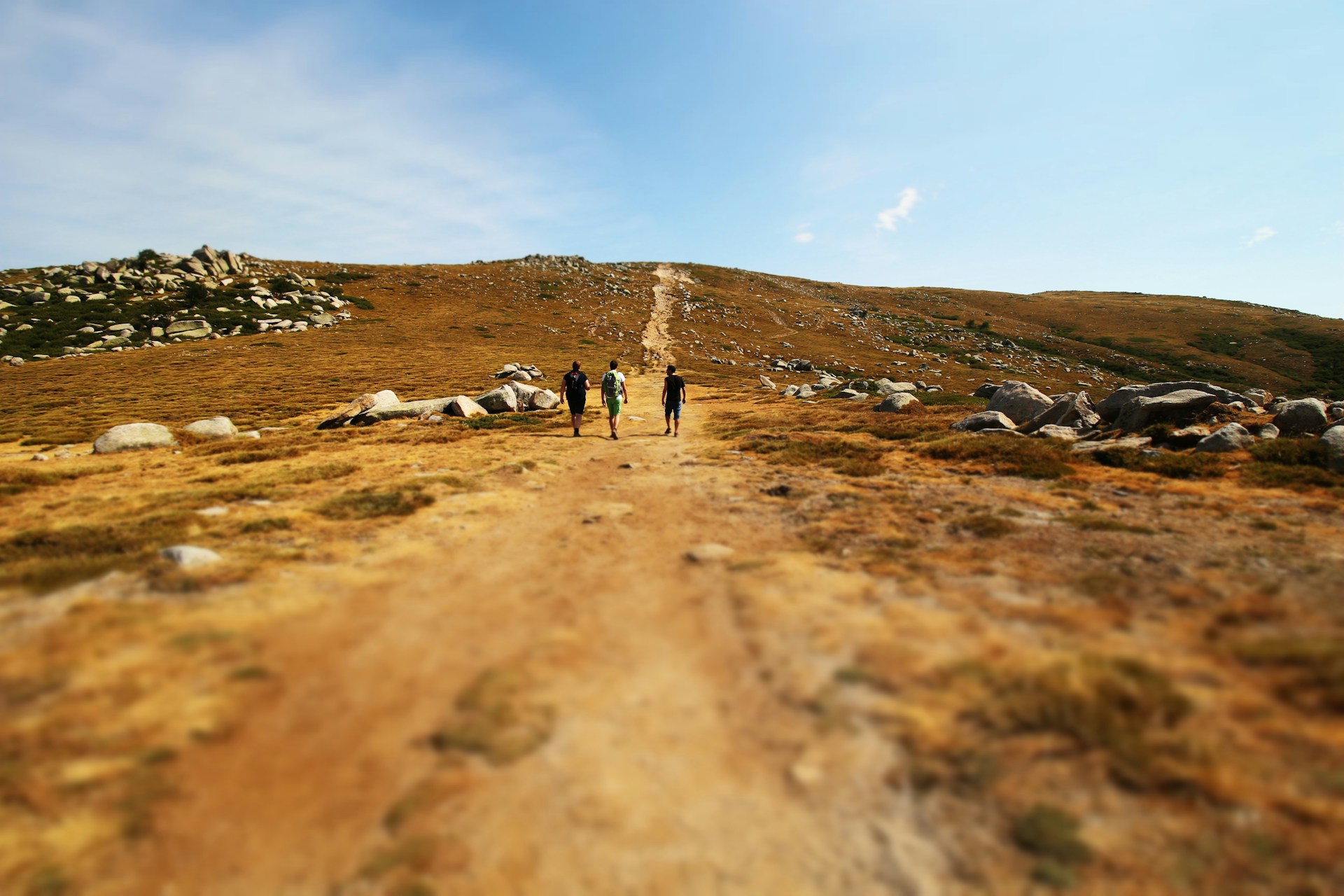 Le domande che devi fare a chi ti sta vendendo il tuo nuovo orologio per escursioni e trekking