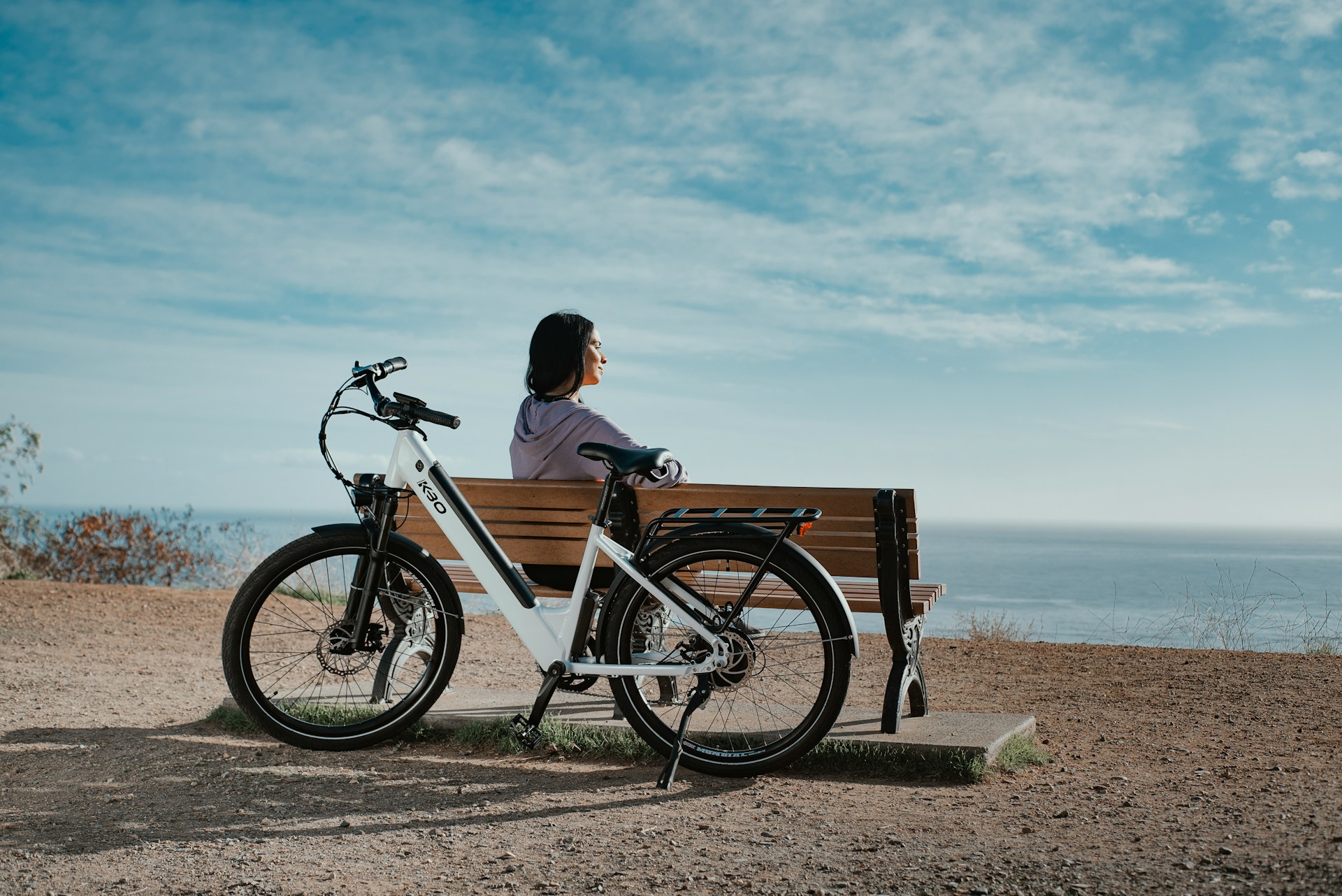nuova bicicletta elettrica