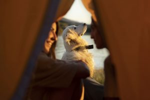 glamping pet friendly