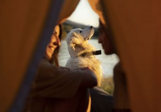 glamping pet friendly