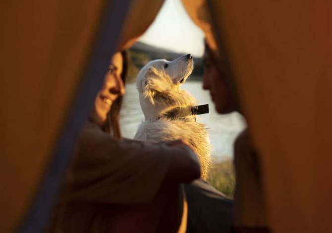 glamping pet friendly