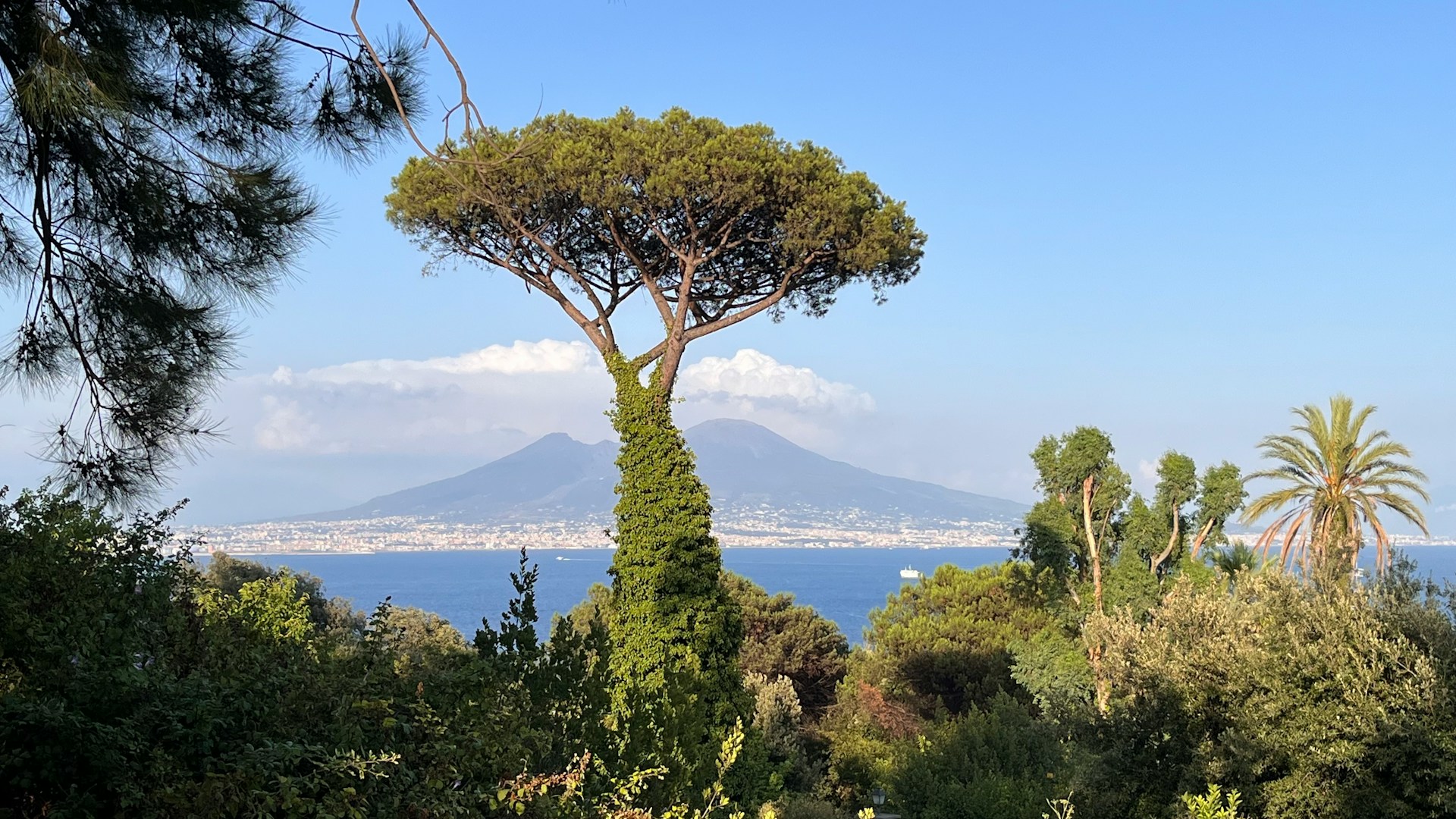 è un teatro di bellezza che si apre sul Golfo di Napoli, un palcoscenico dove la storia millenaria, l'arte vibrante e una natura mozzafiato si fondono in un'esperienza indimenticabile. Qui, la costa è un susseguirsi di panorami iconic