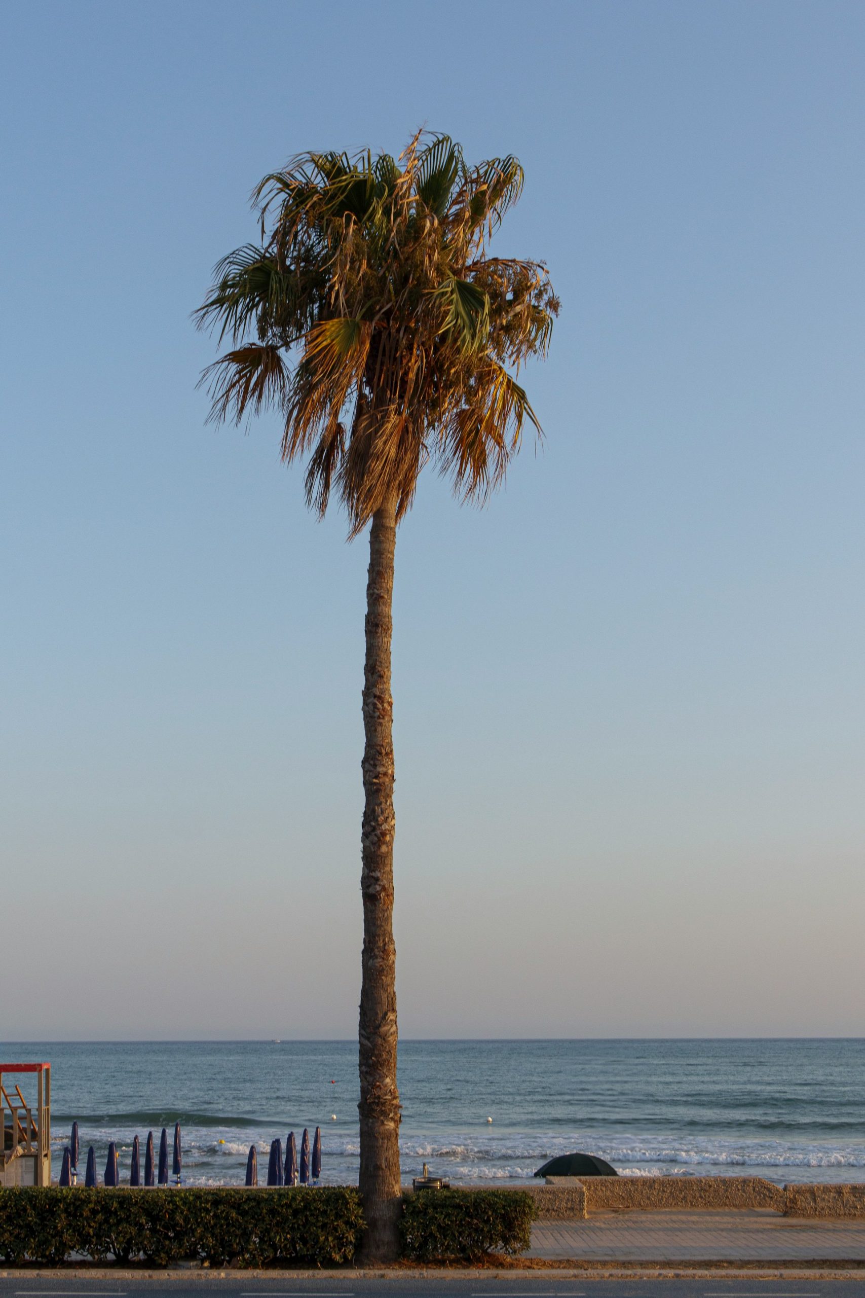 Sicilia Sud Orientale