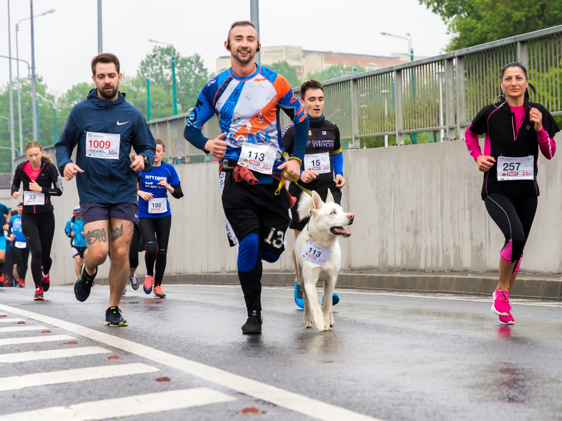 Il miglior compagno di avventura non ha due gambe: 5 cose da sapere per fare sport (in sicurezza) con il tuo cane
