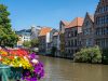 19-gand