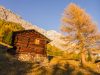 apf-valtellina-autunno