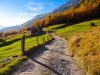 apf-valtellina-val-zebr-valfurva