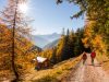apf-valtellina-valfurvaval-zebr-trekkingautunnoph-giacomo-meneghello-2