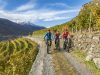 apf-valtellina-wine-bike-tour-2
