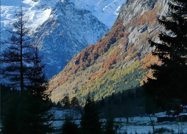5 imperdibili sentieri del foliage in Italia