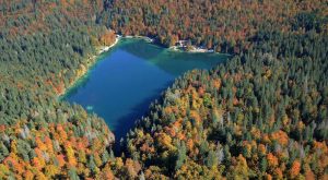 Tarvisiano_Autunno_Laghi di Fusine_ALberi_Bosco_foliage_SpalivieroDSC_5437