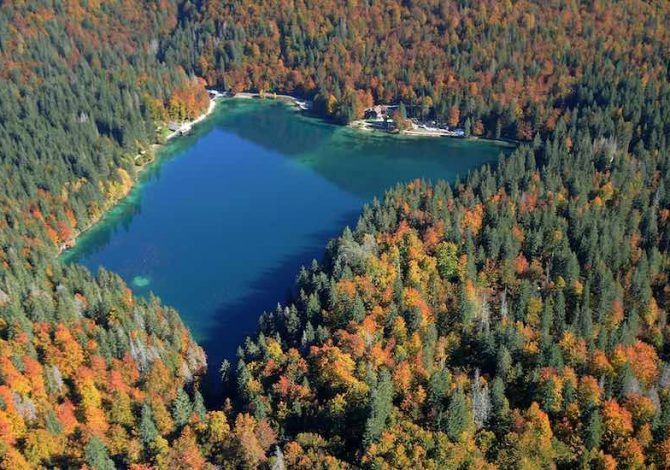 Tarvisiano_Autunno_Laghi di Fusine_ALberi_Bosco_foliage_SpalivieroDSC_5437