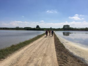 Milano Gravel Roads